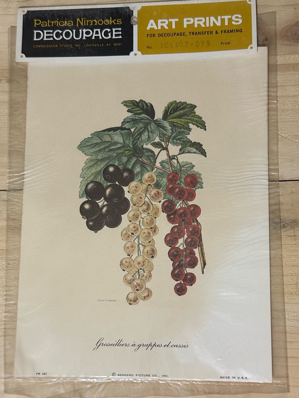 Vintage 1970s Groseilliers Fruit Berry  made in the USA Bern Art Print